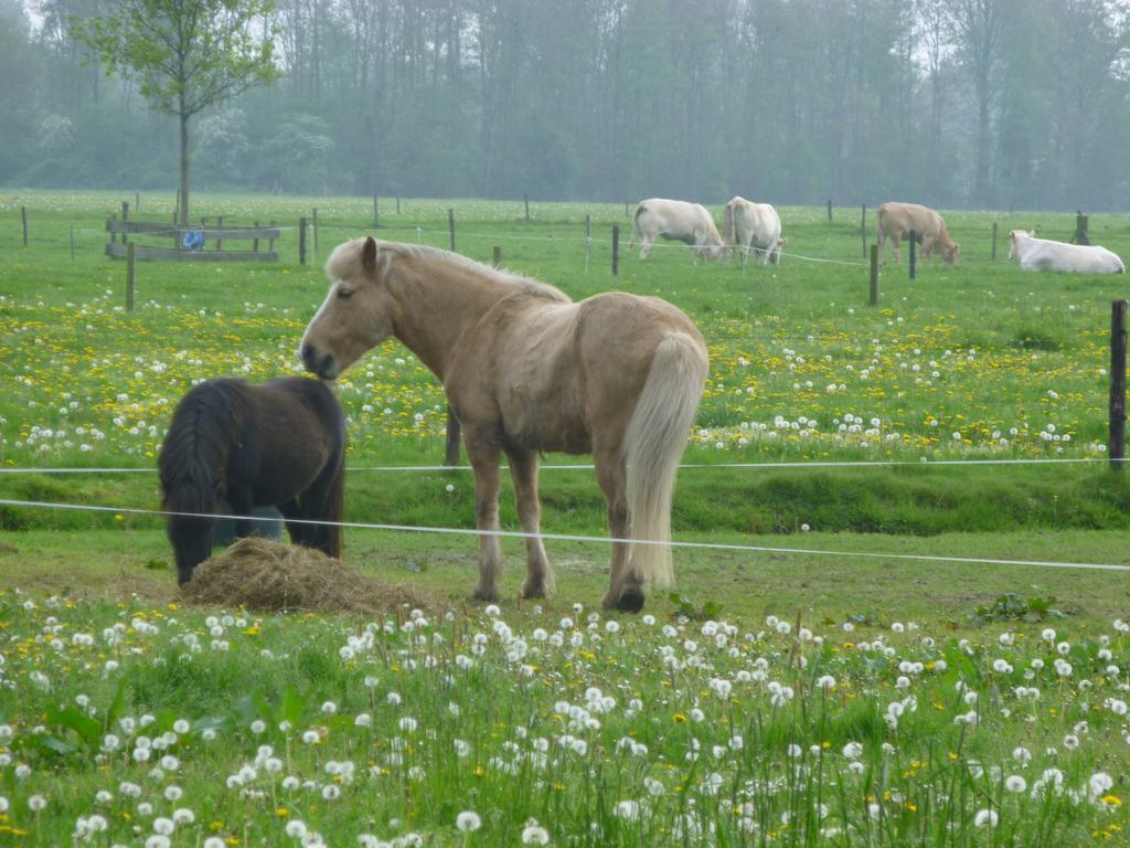 De Langenlee Bed & Breakfast Zwolle  Luaran gambar