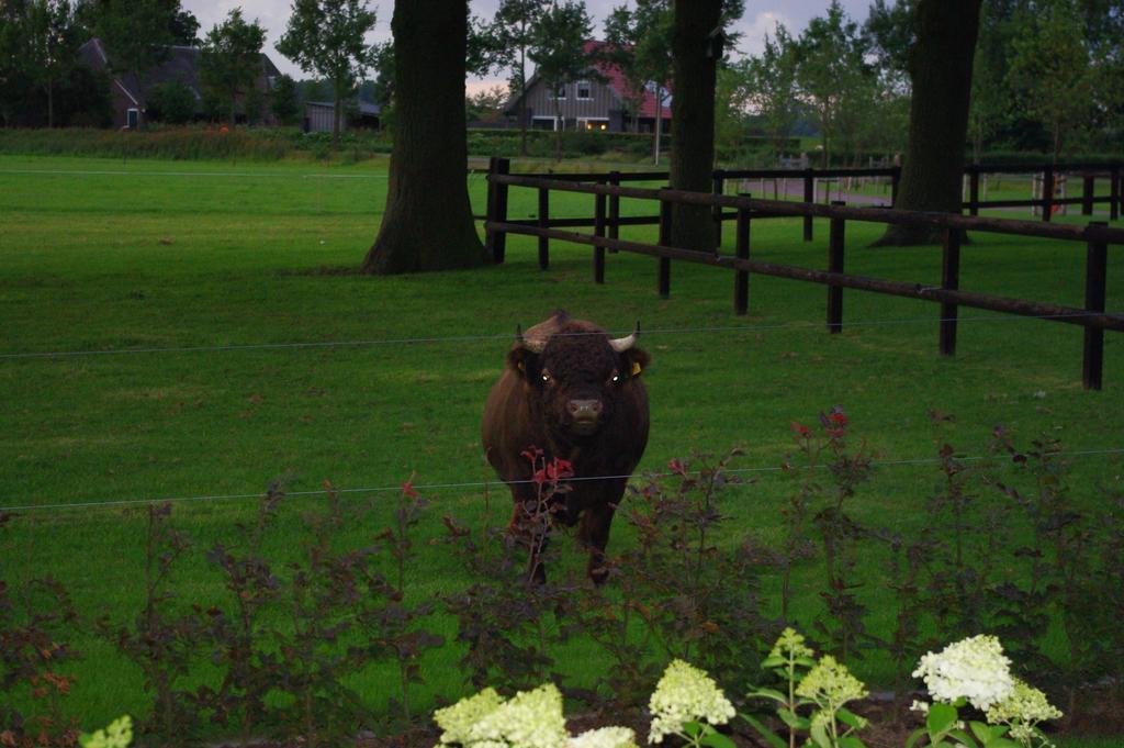 De Langenlee Bed & Breakfast Zwolle  Luaran gambar